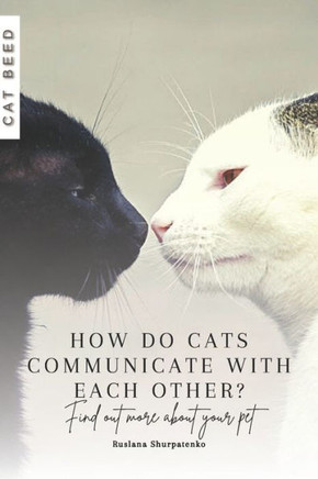 How do cats communicate with each other?: Find out more about your pet
