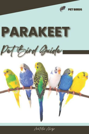 Parakeet: Pet bird guide