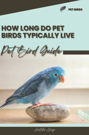 How long do pet birds typically live: Pet bird guide