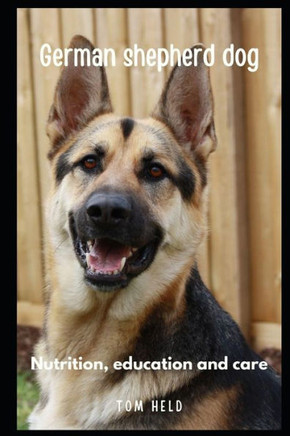 German Stepherd Dog: nutrition, education and care