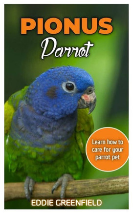Pionus Parrot: Learn how to care for your parrot pet