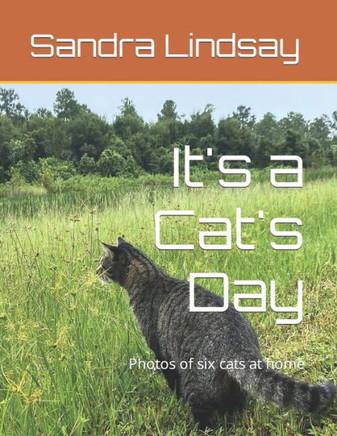 It's a Cat's Day: Photos of six cats at home