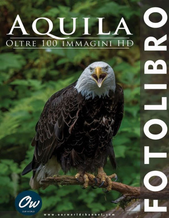 Aquila: Fotolibro