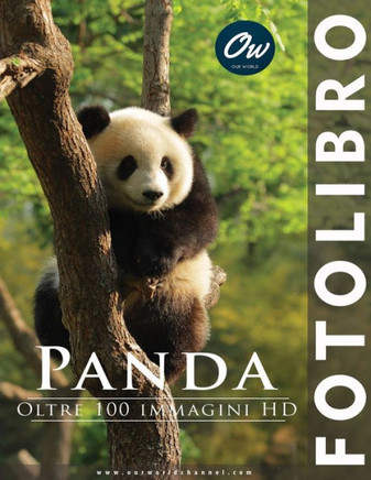 Panda: Fotolibro
