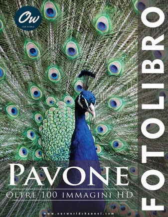 Pavone: Fotolibro
