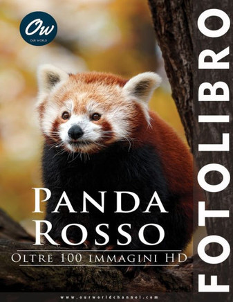 Panda rosso: Fotolibro