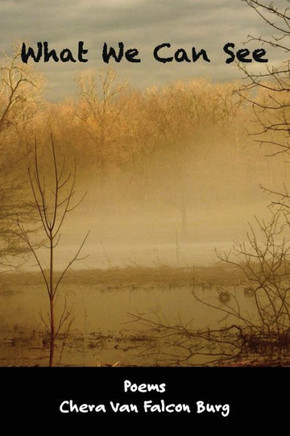 What We Can See What We Can See