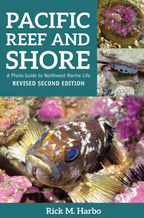Pacific Reef And Shore