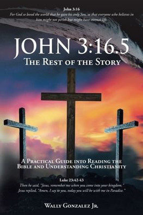John 3: 16.5: The Rest of the Story: A Practical Guide into Reading the Bible and Understanding Christianity