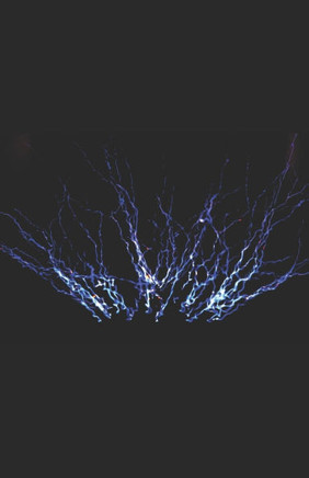 El ?tasis del ser: El arte de la felicidad revelado El ?tasis del ser: El arte de la felicidad revelado