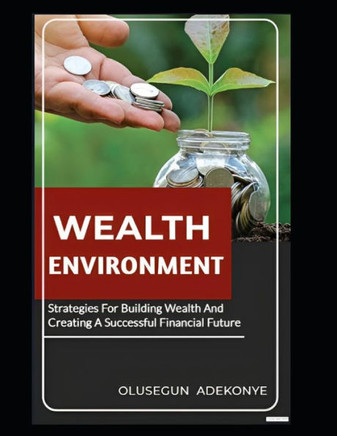 Wealth Environment: Strategies for Building Wealth and Creating A Successful Financial Future
