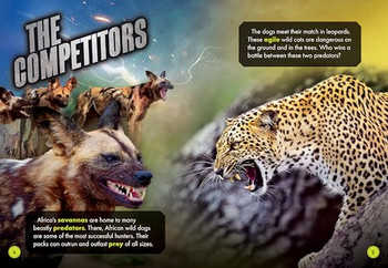 African Wild Dog Pack vs. Leopard