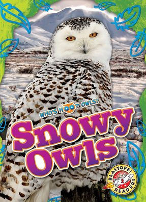 Snowy Owls