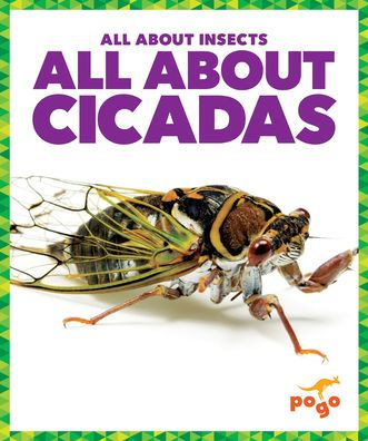 All about Cicadas