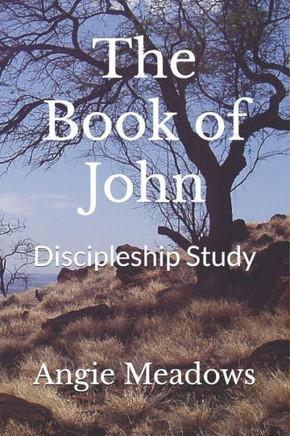 The Book of John: Discipleship Study