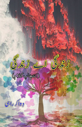 Zindagi aye Zindagi: (Life oh Life, Urdu Poetry)