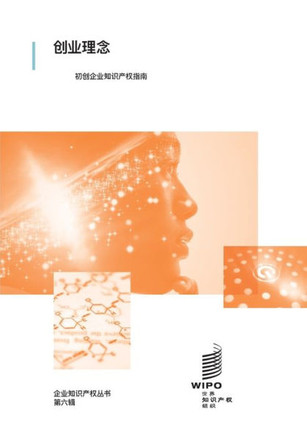 大胆创意: 初创企业知识产权指南