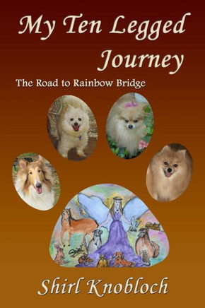 My Ten Legged Journey: The Road To Rainbow Bridge