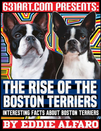 The Rise of the Boston Terriers: Interesting Facts About Boston Terriers