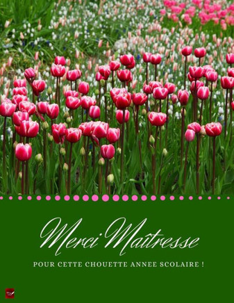 Merci Ma?tresse Pour Cette Chouette Ann?e Scolaire ! (French Edition)