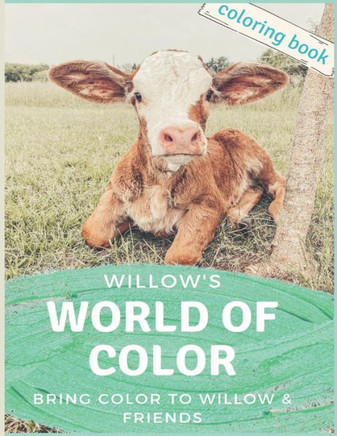 Willow's World of Color: Willow's World