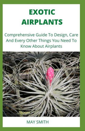 Exotic Airplants: Comprehensive Guide To Design, Care And Every Other Things You Need To Know About Airplants