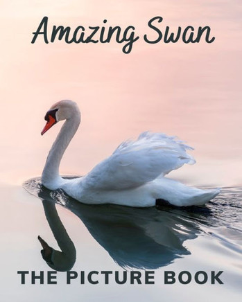 Amazing Swan: The Picture Book of Swan Great for Alzheimer's Patients and Seniors with Dementia.