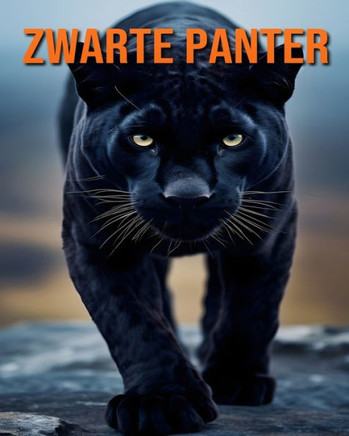 Zwarte Panter: Leuke Feiten en Afbeeldingen Over Zwarte Panter