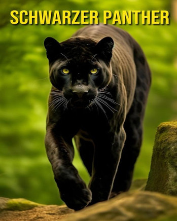 Schwarzer Panther: Spaß und erstaunliche Bilder über Schwarzer Panther