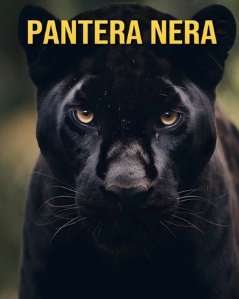 Pantera nera: Curiosità Divertenti e Immagini Straordinarie sui Pantera nera