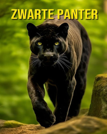 Zwarte Panter: Leuke en Geweldige Foto's Over Zwarte Panter
