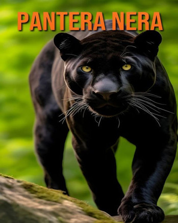 Pantera nera: Fatti e immagini divertenti e affascinanti sui Pantera nera