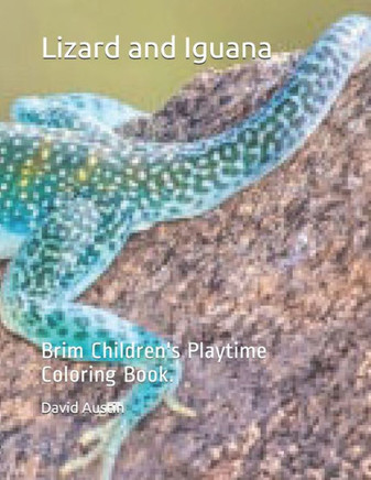 Lizard and Iguana: Brim Children's Playtime Coloring Book.