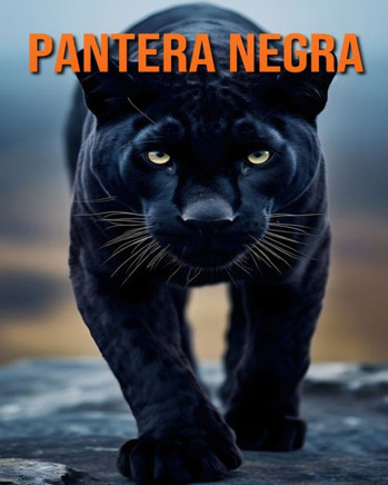 Pantera Negra: Diversão, Curiosidades e Fotos Sobre a Pantera Negra