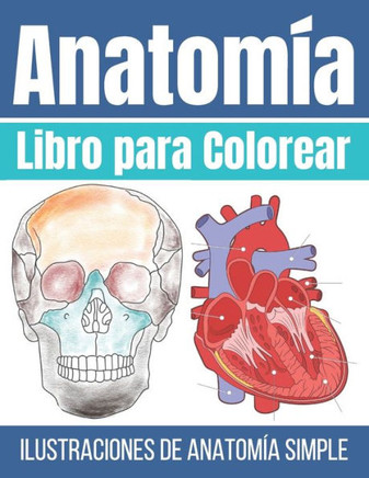 Libro para Colorear Anatomía: Ilustraciones Simples para Colorear