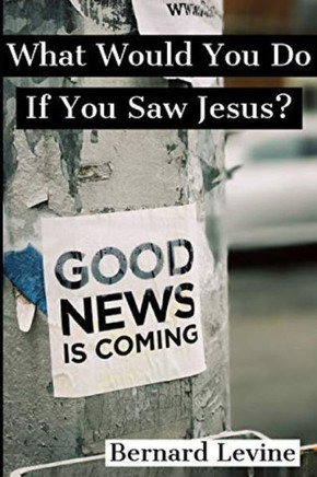 What Would You Do If You Saw Jesus?