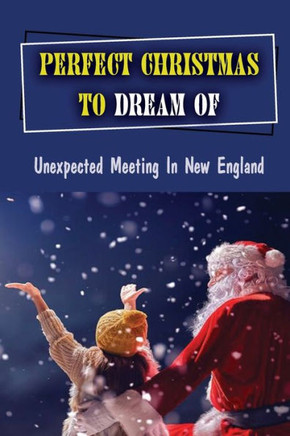 Perfect Christmas To Dream Of: Unexpected Meeting In New England