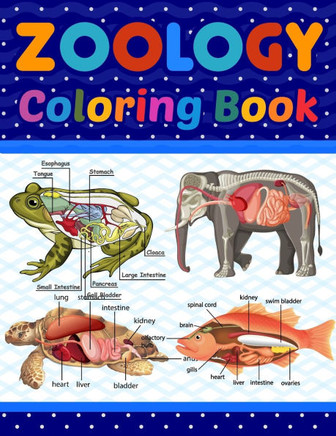Zoology Coloring Book: Medical Anatomy Coloring Book for kids Boys and Girls. Zoology Coloring Book for kids. Stress Relieving, Relaxation &