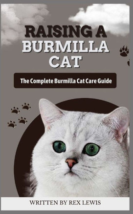 Raising a Burmilla Cat: The Complete Burmilla Cat Care Guide