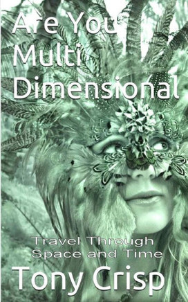 Are You Multidimensional?: Travel Through Space and Time