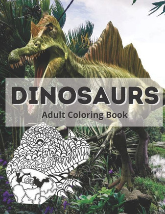 Dinosaurs Adult Coloring Book: Dinosaurs Coloring Book for Kids and Adults, Stress relief and relaxation Coloring Book