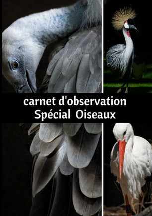 Carnet d'observation Spécial Oiseaux: Journal d'observation des oiseaux