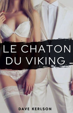 Le chaton du viking