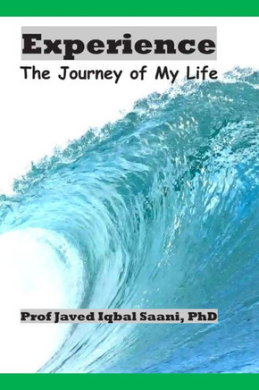 Experience: The Journey Of My Life Experience: The Journey Of My Life