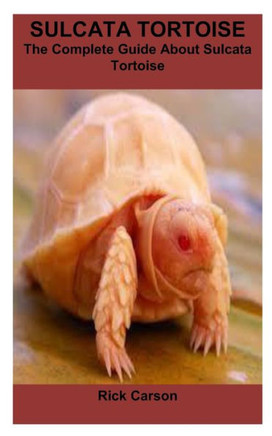Sulcata Tortoise: The Complete Guide About Sulcata Tortoise