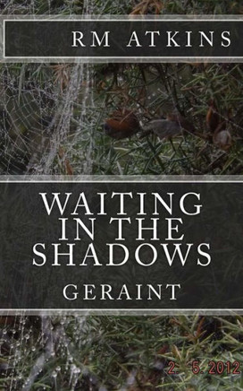 Waiting In The Shadows: Geraint