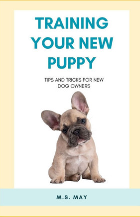 Training Your New Puppy: Tips and tricks for new dog owners
