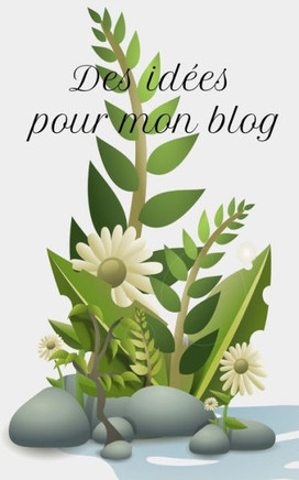 Des idées pour mon blog: carnet ligné de 100 pages de qualité