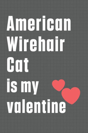 American Wirehair Cat is my valentine: For American Wirehair Cat Fans