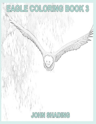 Eagle Coloring Book 3